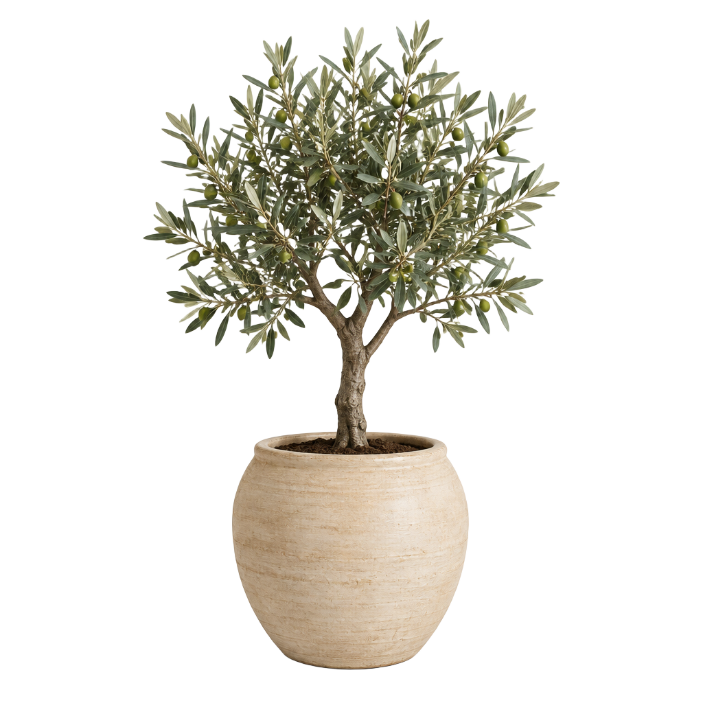 Ceramic Planter